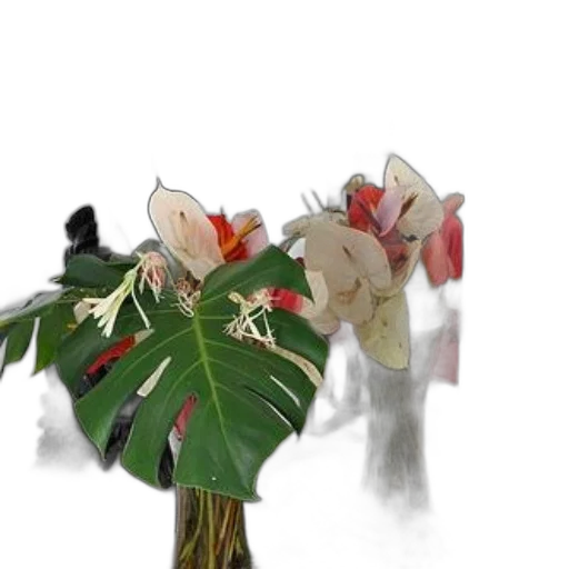 flower, crown, mask, jacket, 3d render, photorealistic, concept art, forest transparent PNG cut-out