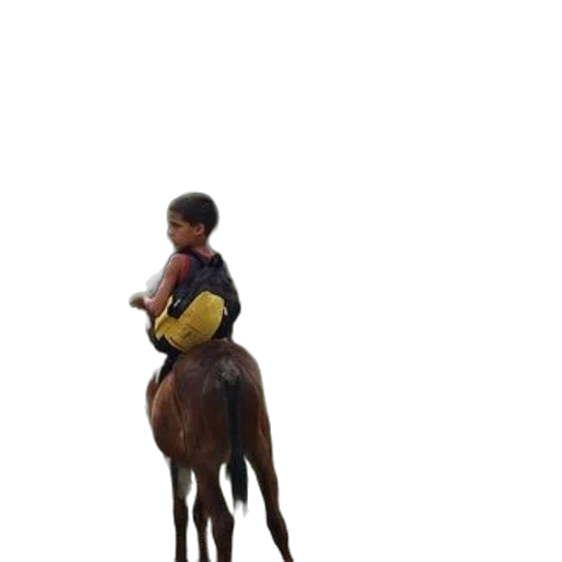 animal, staff, creature, jacket, photorealistic, 3d render, oil painting, concept art transparent PNG cut-out