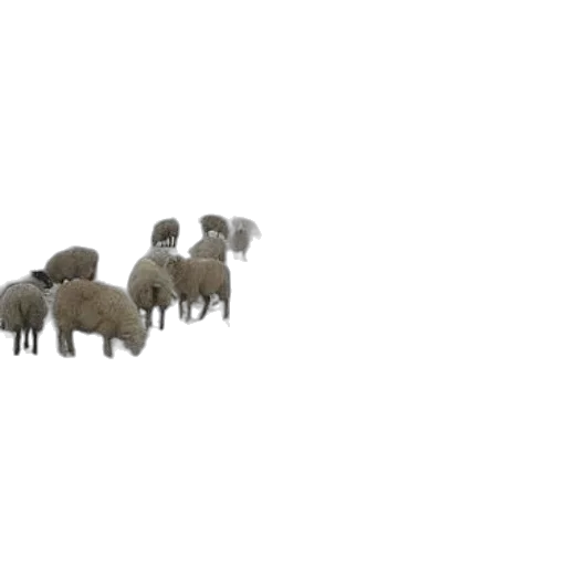 animal, creature, weapon, jewelry, 3d render, concept art, pixel art, photorealistic transparent PNG cut-out