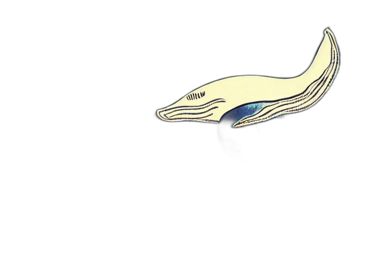 shoes, jewelry, dragon, hair transparent PNG cut-out