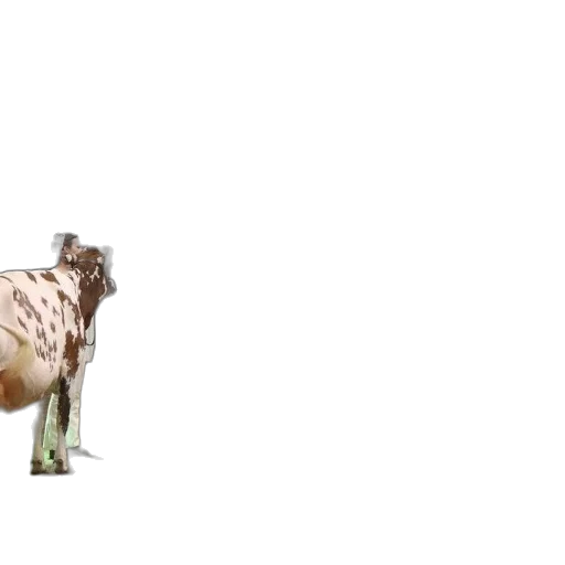 animal, creature, food, robot, 3d render, photorealistic, concept art, pixel art transparent PNG cut-out