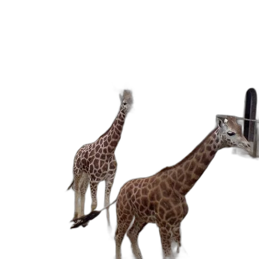 animal, creature, staff, jewelry, 3d render, concept art, photorealistic, two transparent PNG cut-out