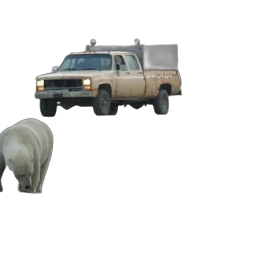 animal, car, creature, weapon, concept art, 3d render, two, polar transparent PNG cut-out