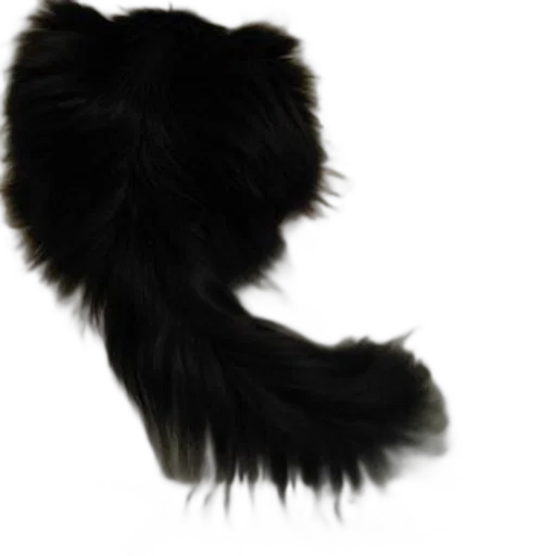 hair, hat, animal, crown, fluffy, black, tail, possibly transparent PNG cut-out