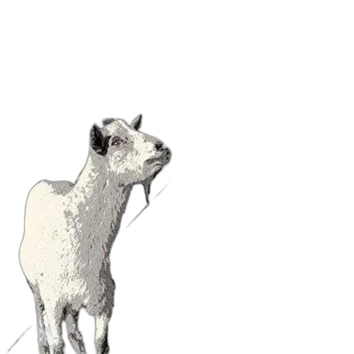 animal, staff, creature, face, photorealistic, concept art, pencil sketch, pixel art transparent PNG cut-out