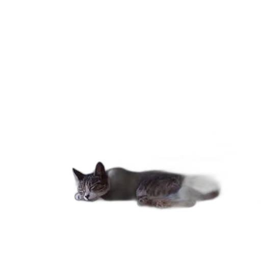animal, creature, staff, hair, photorealistic, 3d render, pixel art, concept art transparent PNG cut-out