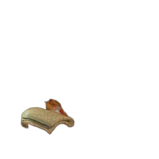 hat, shoes, food, animal, 3d render, concept art, photorealistic, pixel art transparent PNG cut-out