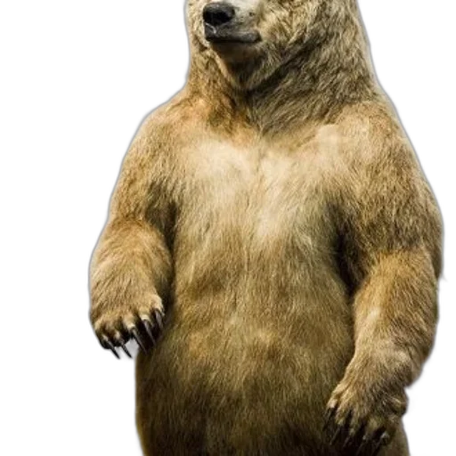 animal, creature, face, staff, concept art, photorealistic, 3d render, taxidermy transparent PNG cut-out