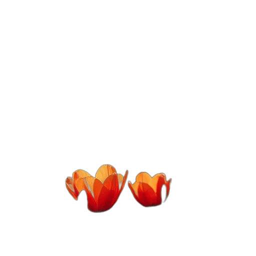 crown, food, flower, jewelry, pixel art, 3d render, photorealistic, concept art transparent PNG cut-out