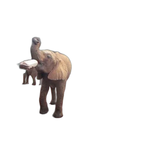 animal, creature, staff, weapon, 3d render, concept art, pixel art, photorealistic transparent PNG cut-out