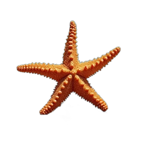 staff, crown, animal, creature, 3d render, photorealistic, underwater, starfish transparent PNG cut-out