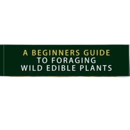 beginners, guide, foraging, wild, edible, plants, book, cover transparent PNG cut-out