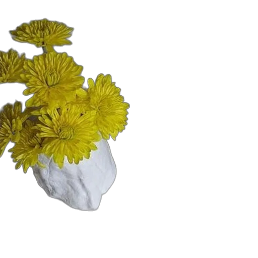 flower, crown, food, mask, 3d render, photorealistic, concept art, two transparent PNG cut-out