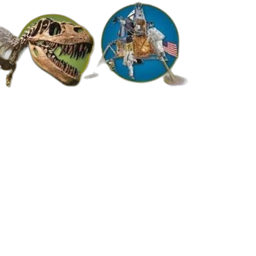 jewelry, dragon, crown, hat, concept art, 3d render, fantasy art, awesome transparent PNG cut-out