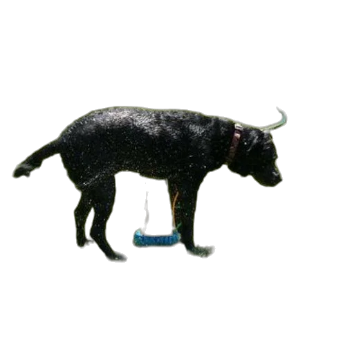 animal, staff, creature, dragon, 3d render, photorealistic, concept art, pixel art transparent PNG cut-out