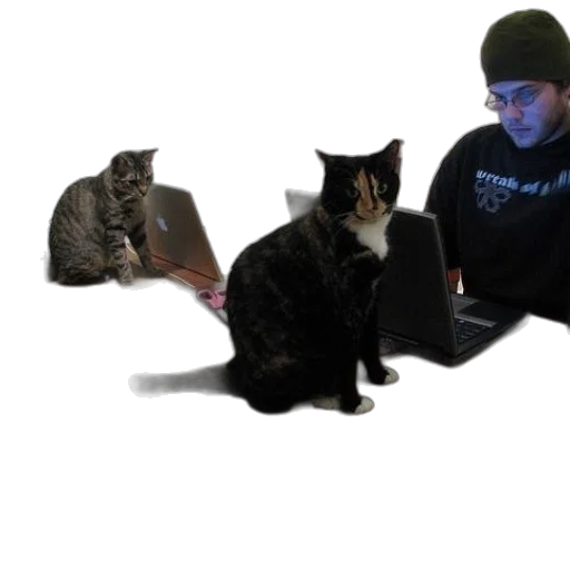 staff, fire, man, black transparent PNG cut-out