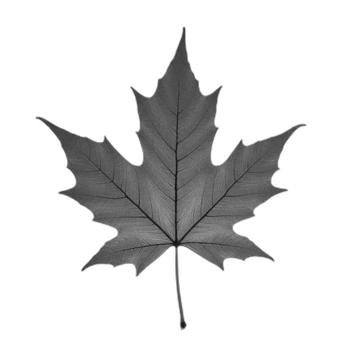 crown, tree, umbrella, flower, photorealistic, 3d render, concept art, pixel art transparent PNG cut-out