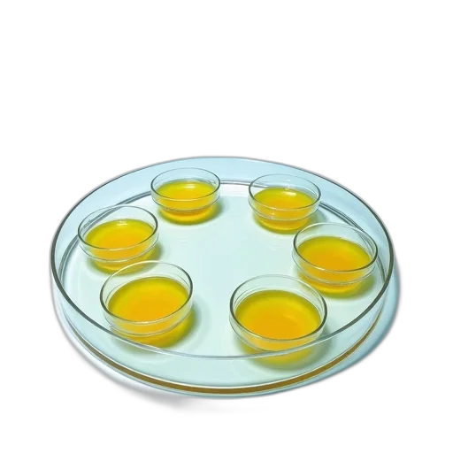 food, jewelry, crown, 3d render, transparent, plastic, petri, dish transparent PNG cut-out