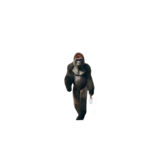 creature, jacket, animal, mask, concept art, 3d render, pixel art, cyberpunk transparent PNG cut-out