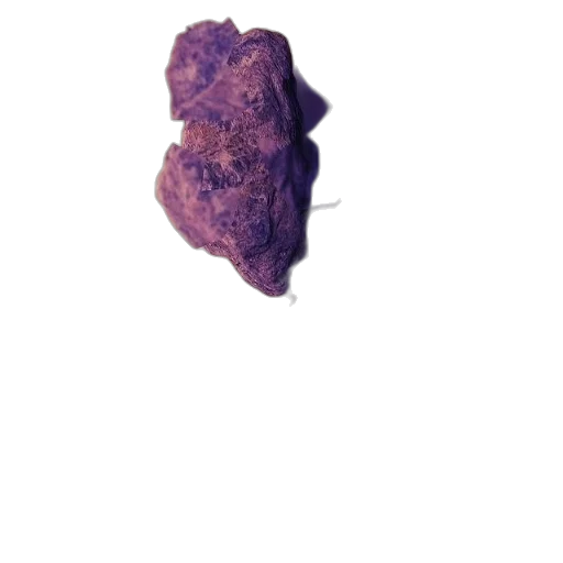 weapon, crown, flower, dragon, 3d render, photorealistic, vaporwave, concept art transparent PNG cut-out