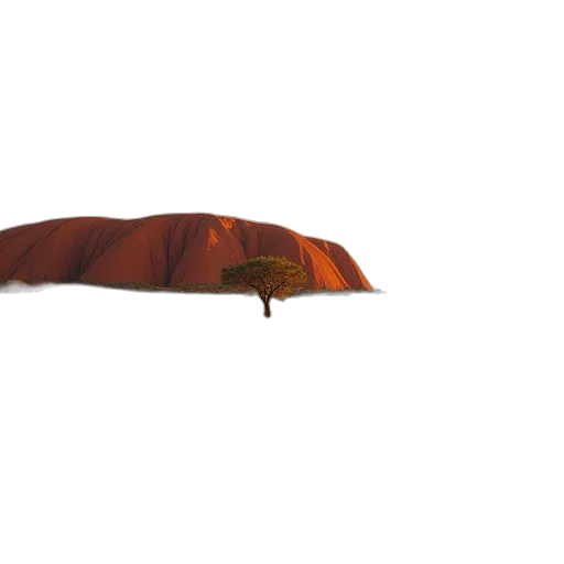 umbrella, hat, tree, crown transparent PNG cut-out