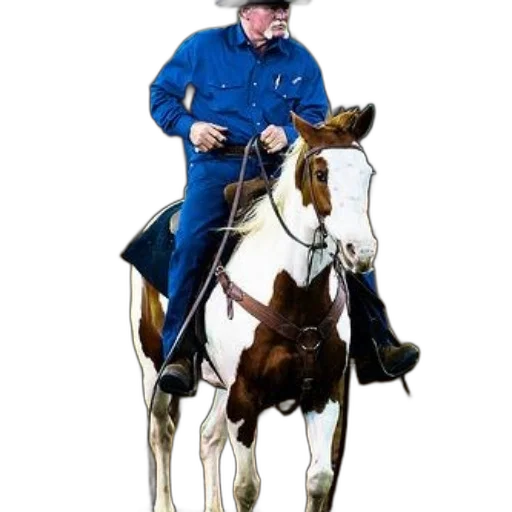 staff, animal, jacket, weapon, concept art, photorealistic, blue, man transparent PNG cut-out