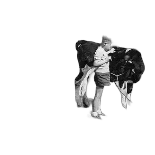 animal, creature, umbrella, car, photorealistic, concept art, pencil sketch, pixel art transparent PNG cut-out