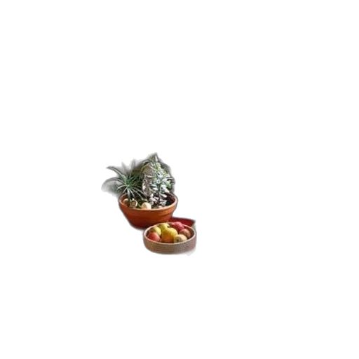 shoes, food, jewelry, creature transparent PNG cut-out