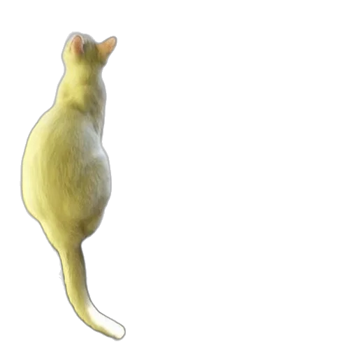 animal, creature, staff, food, 3d render, concept art, photorealistic, watercolor transparent PNG cut-out