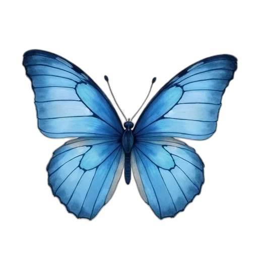 animal, jewelry, flower, crown transparent PNG cut-out