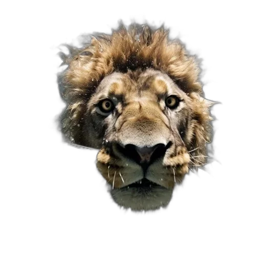 crown, animal, face, jewelry, photorealistic, 3d render, concept art, fantasy art transparent PNG cut-out