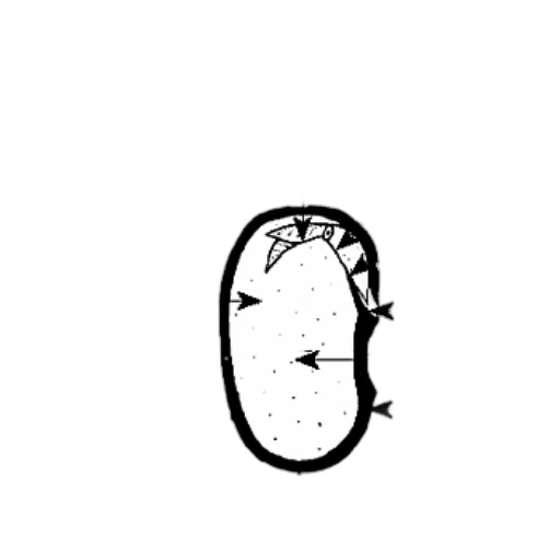 face, mask, crown, hat, concept art, cartoon, photorealistic, pencil sketch transparent PNG cut-out