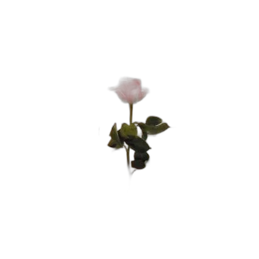 flower, jewelry, weapon, staff, 3d render, pixel art, photorealistic, oil painting transparent PNG cut-out