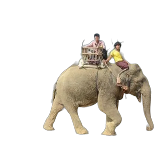 animal, creature, concept art, 3d render, photorealistic, people, riding, elephants transparent PNG cut-out