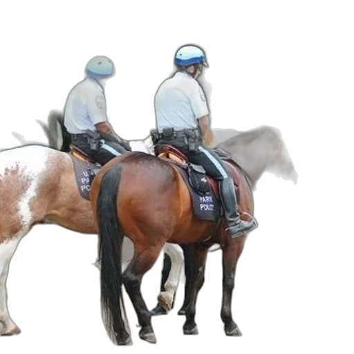 staff, animal, concept art, photorealistic, 3d render, two, police, officers transparent PNG cut-out