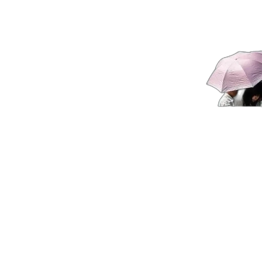 umbrella, hat, animal, face, vaporwave, concept art, photorealistic, pixel art transparent PNG cut-out