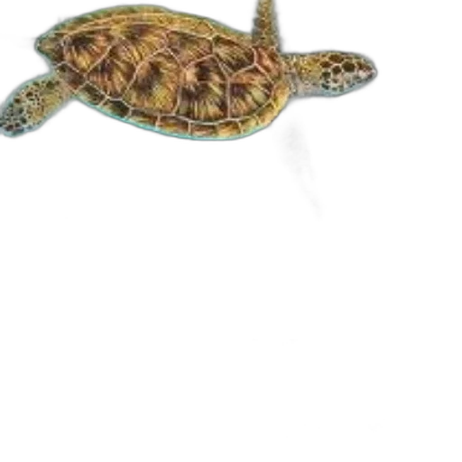 animal, creature, staff, jewelry, photorealistic, concept art, 3d render, watercolor transparent PNG cut-out