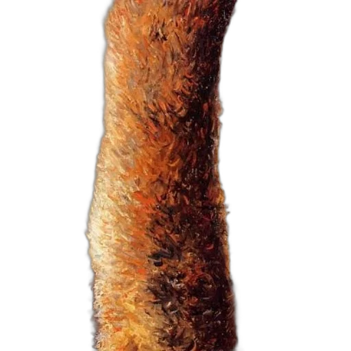 staff, hair, weapon, animal, photorealistic, 3d render, concept art, oil painting transparent PNG cut-out