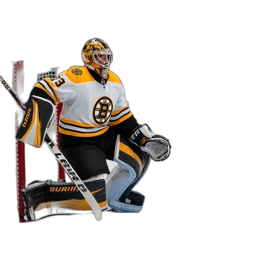 animal, concept art, boston, bruins transparent PNG cut-out