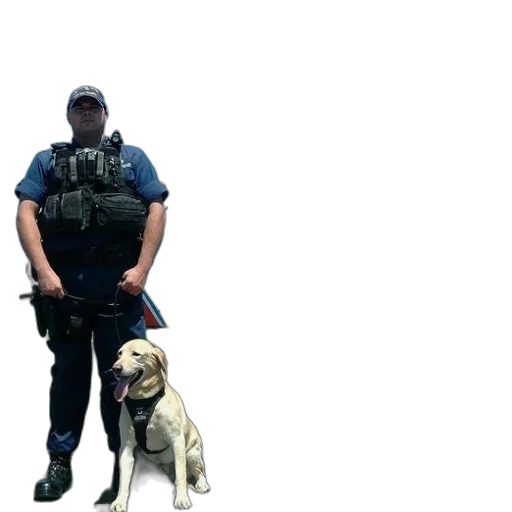 staff, animal, weapon, two, police, officers, dogs, front transparent PNG cut-out