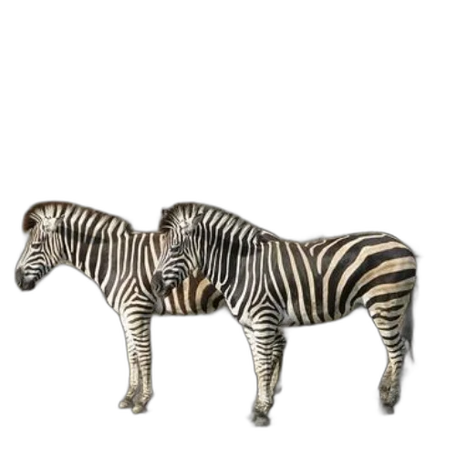 animal, creature, furniture, jewelry, 3d render, concept art, photorealistic, fantasy art transparent PNG cut-out