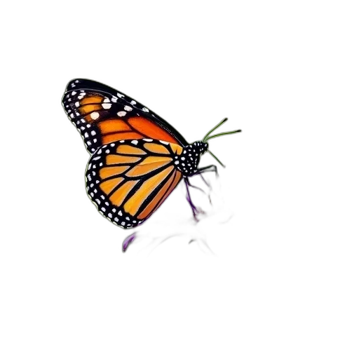 animal, creature, flower, crown, watercolor, photorealistic, concept art, pixel art transparent PNG cut-out