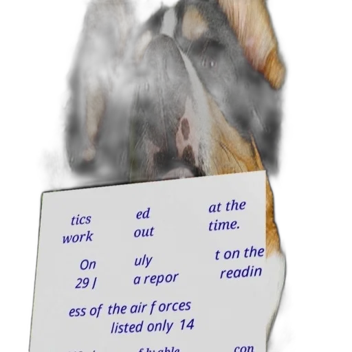 animal, food, hat, dragon, fire, dog, caption, about transparent PNG cut-out
