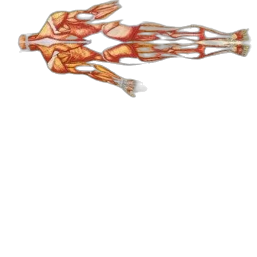 weapon, staff, robot, jewelry, concept art, 3d render, pixel art, anatomical transparent PNG cut-out