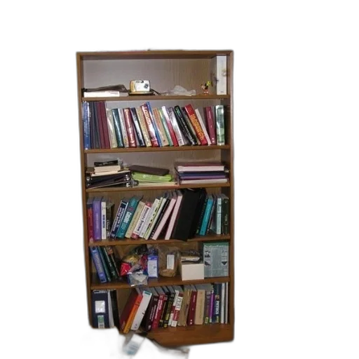 furniture, staff, weapon, jewelry, bookshelf, filled, books, other transparent PNG cut-out