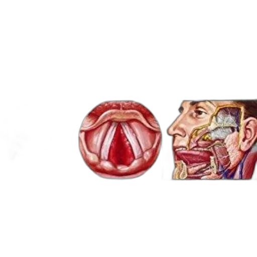 crown, mask, face, jewelry, concept art, anime, comic book art, pixel art transparent PNG cut-out