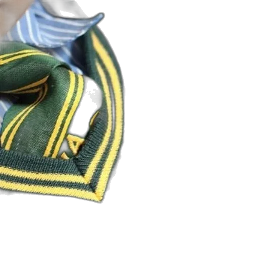 hat, jacket, crown, weapon, 3d render, close-up, green, sweater transparent PNG cut-out