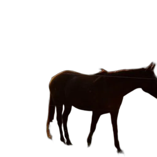 animal, creature, crown, hat, photorealistic, 3d render, concept art, horse transparent PNG cut-out