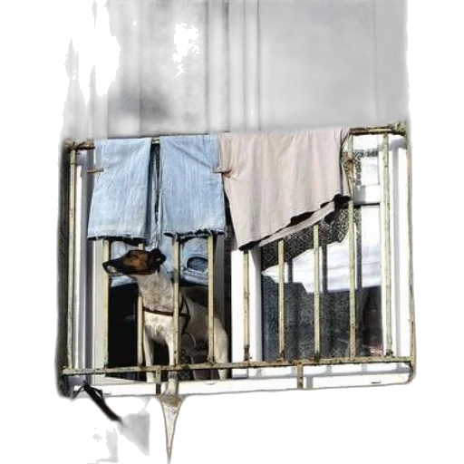 umbrella, animal, robot, furniture, concept art, photorealistic, 3d render, rain transparent PNG cut-out