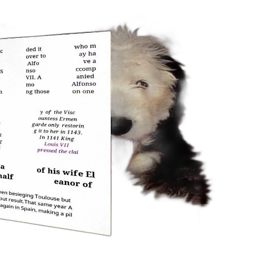 animal, creature, dog, white, face, brown, fur, sitting transparent PNG cut-out